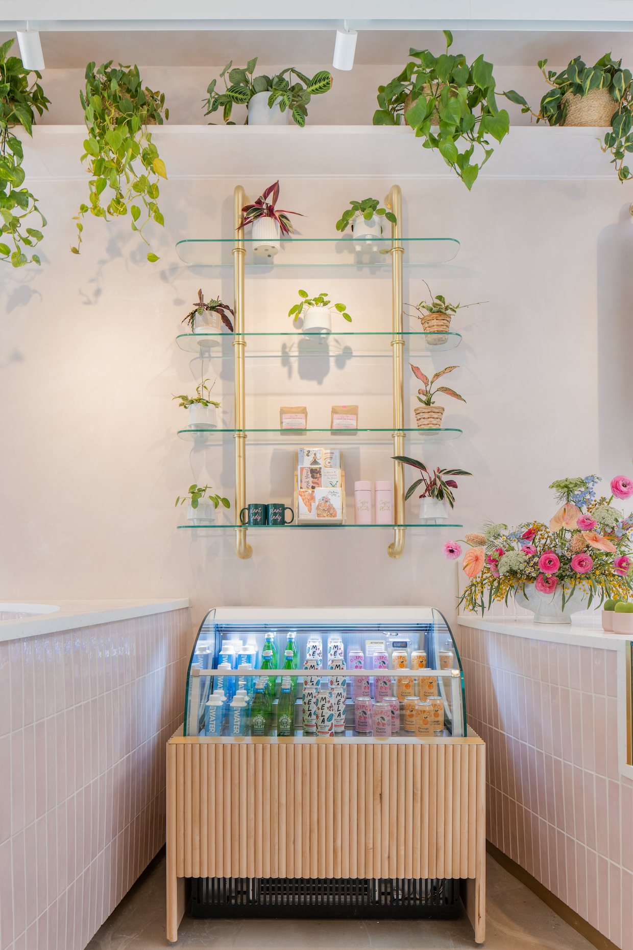Coffee and Plants LA Ventura