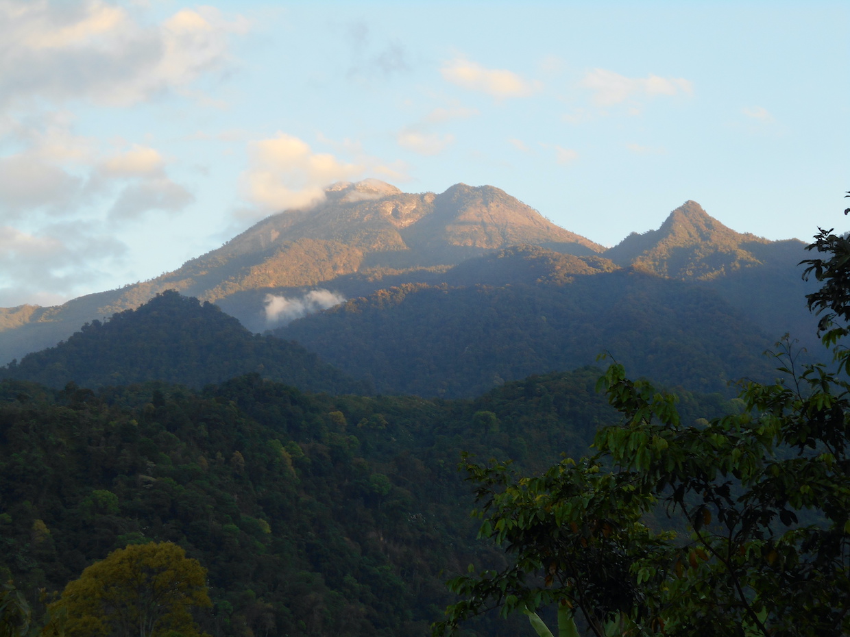 Guatemala coffee landscape